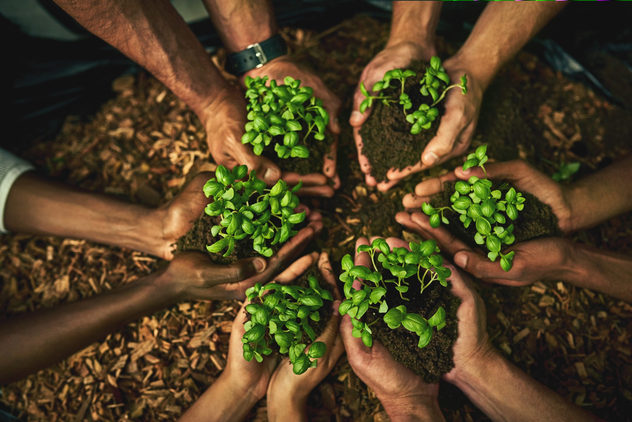 Give green a chance - it might just grow on you